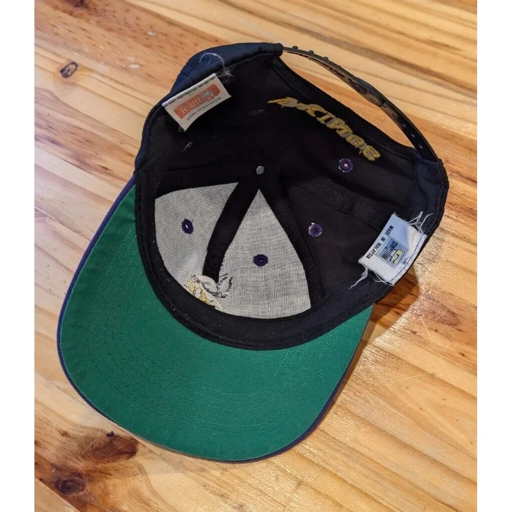 Vintage‎ Team NFL Minnesota Vikings Snap Back Hat Cap Youth Retro Football 90s